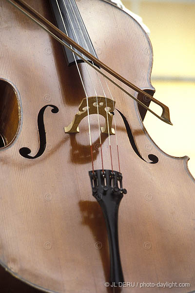 violoncelle